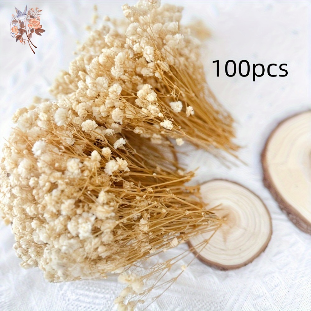100pcs Bunga Baby's Breath Ker - Craft Embellishment ulasan dan harga